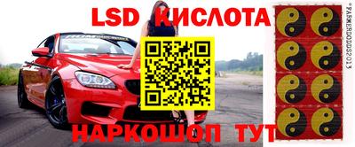 ГАЛЛЮЦИНОГЕННЫЕ ГРИБЫ Донской